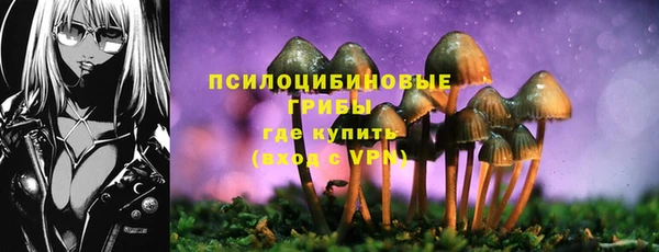 гидропоника Зеленокумск
