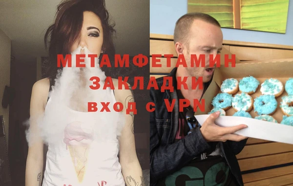 сатива Ельня