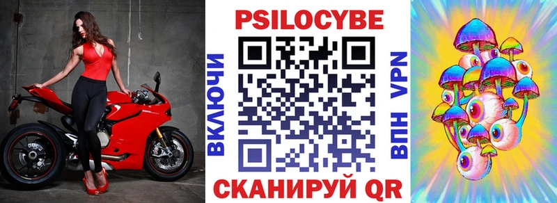 Галлюциногенные грибы Psilocybe  мега зеркало  Лебедянь  наркота 